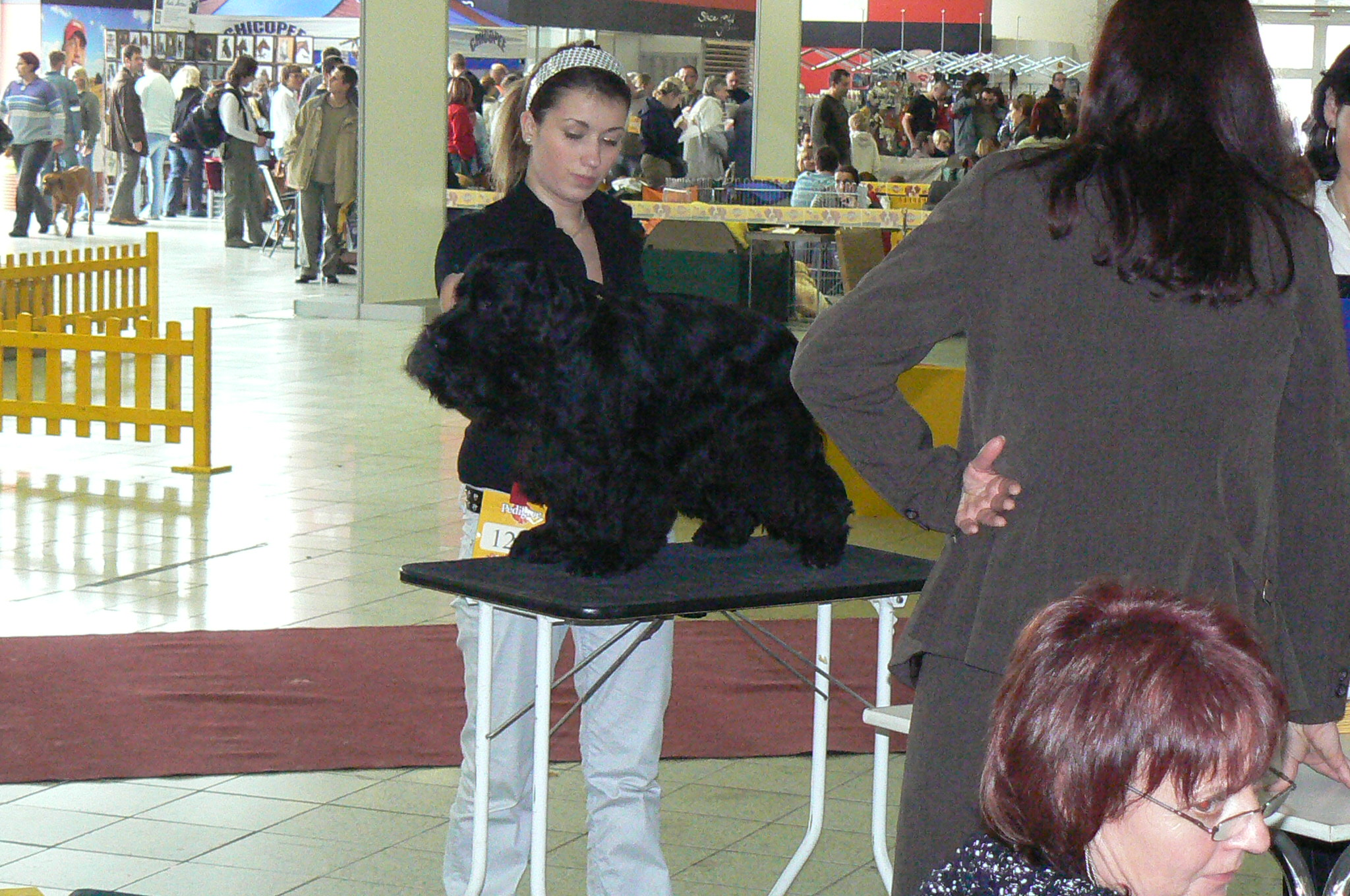 Nitra 3.11 2007 č.5